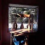 Agustina\'S Place
